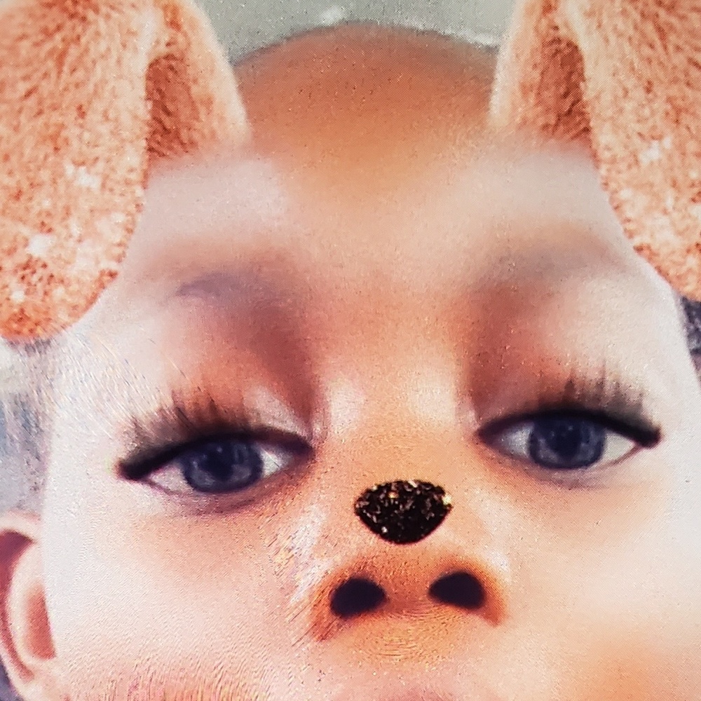 Meet your Posher, Deshondal